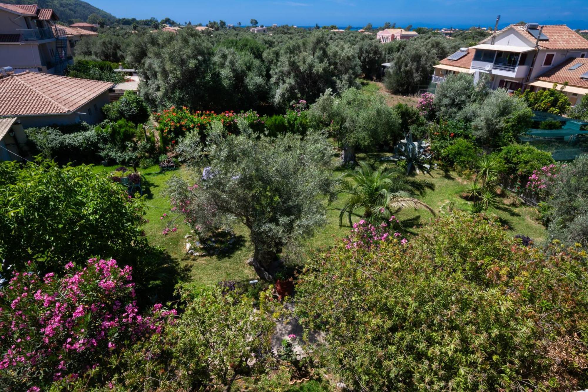 Villa Fenia Lefkáda المظهر الخارجي الصورة
